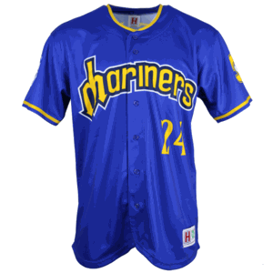 SAMPLE - Homegrown Full Button Hybrid Sublimated Baseball Jersey (SAMP510S)