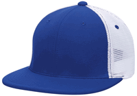 royal / white