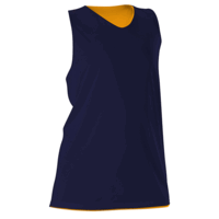 navy / gold