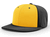 gold panel / black