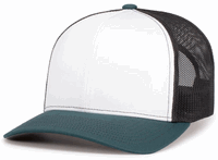 white panel - light charcoal / dark teal