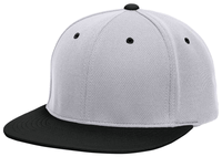 silver / black