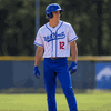 SAMPLE - Homegrown Pinstripe Tackle Twill Baseball Jersey (SAMP514C)