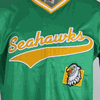 SAMPLE - Homegrown V-Neck Tackle Twill Baseball Jersey (SAMP513C)