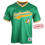 SAMPLE - Homegrown V-Neck Tackle Twill Baseball Jersey (SAMP513C)