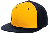 gold panel / navy