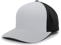 silver / black