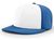 white panel / royal