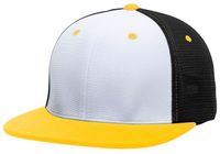 white / black / gold