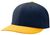 navy / gold