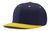navy / gold