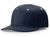 navy / white