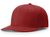 cardinal