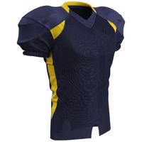 navy / gold