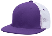 purple / white