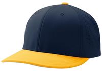 navy / gold