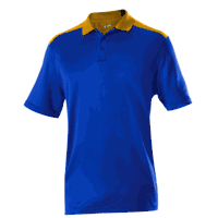 royal / gold