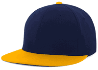navy / gold