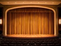 HT Design DeLux 229-248 inch Wide Unlined Commercial Drapes