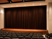 HT Design DeLux 271-292 inch Wide Unlined Commercial Drapes