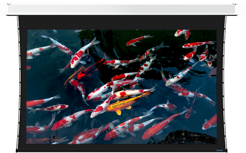 Stewart Cascade G2 16:9 Format Screen