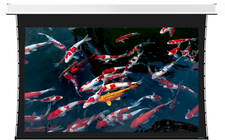 Stewart Cascade G2 16:9 Format Screen