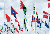 <div class="touchtargets">Polyester 3′x5′ Flags</div>