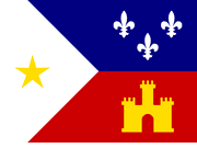 Acadiana Polyester Flag