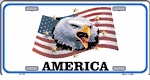 American Eagle