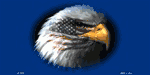 American Flag w/Eagle - Blue Background