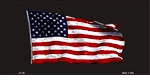 American Flag Waving