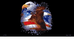 American Pride and Eagle
