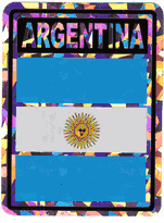 Argentina Vinyl Reflective Decal