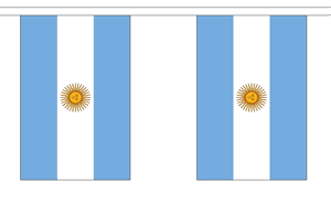 Argentina String Flag Bunting
