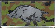 Arkansas Razorbacks Camo Chrome