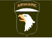 Army Airborne Polyester Flag