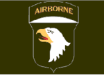 Army Airborne Polyester Flag