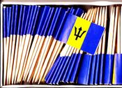 Barbados Flag Toothpicks