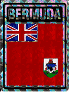 Bermuda Vinyl Reflective Decal