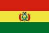 Bolivia Polyester 3x5