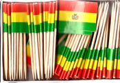 Bolivia Flag Toothpicks
