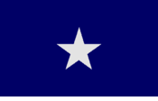 Bonnie Blue Flag