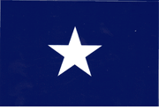 Bonnie Blue Flag Decals-Large