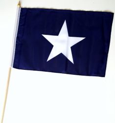 Bonnie Blue Stick Flag 12"x18"