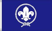 Boy Scout Polyester Flag