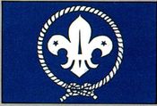 Boy Scouts Flag