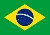 Brazil Polyester 3x5