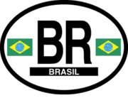 Brazil Flag It Oval Decal