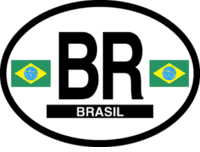 Brazil Flag It Oval Decal