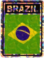 Brazil Vinyl Reflective Decal